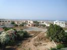 Roof View